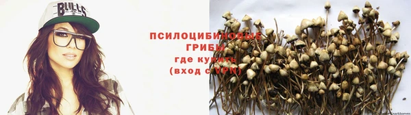 метамфетамин Аркадак