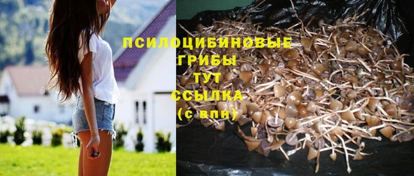 метамфетамин Аркадак