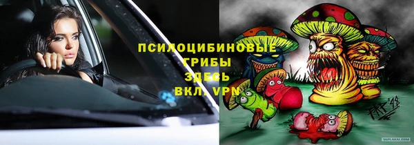 СК Арсеньев