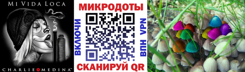 где продают   Баксан  Псилоцибиновые грибы Psilocybine cubensis 